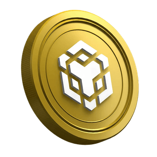 BNB, criptomoneda en la página de la guía para el trader principiante