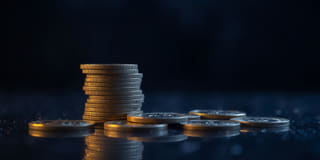Transparencia — datos claros acerca de la plataforma de trading de Lobo Caudalorio